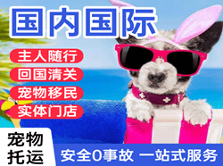 普洱思茅机场空运国际宠物托运 【国